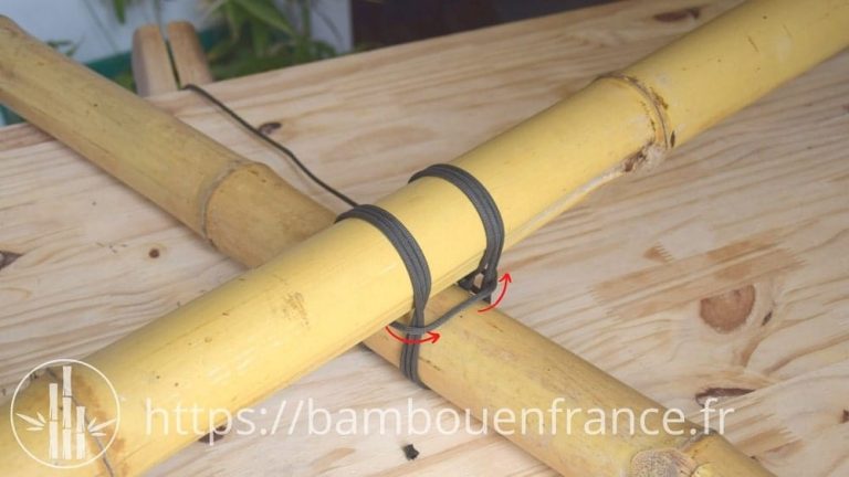 Assemblage de Bambous Secs - Guide Illustré - Bambou en France